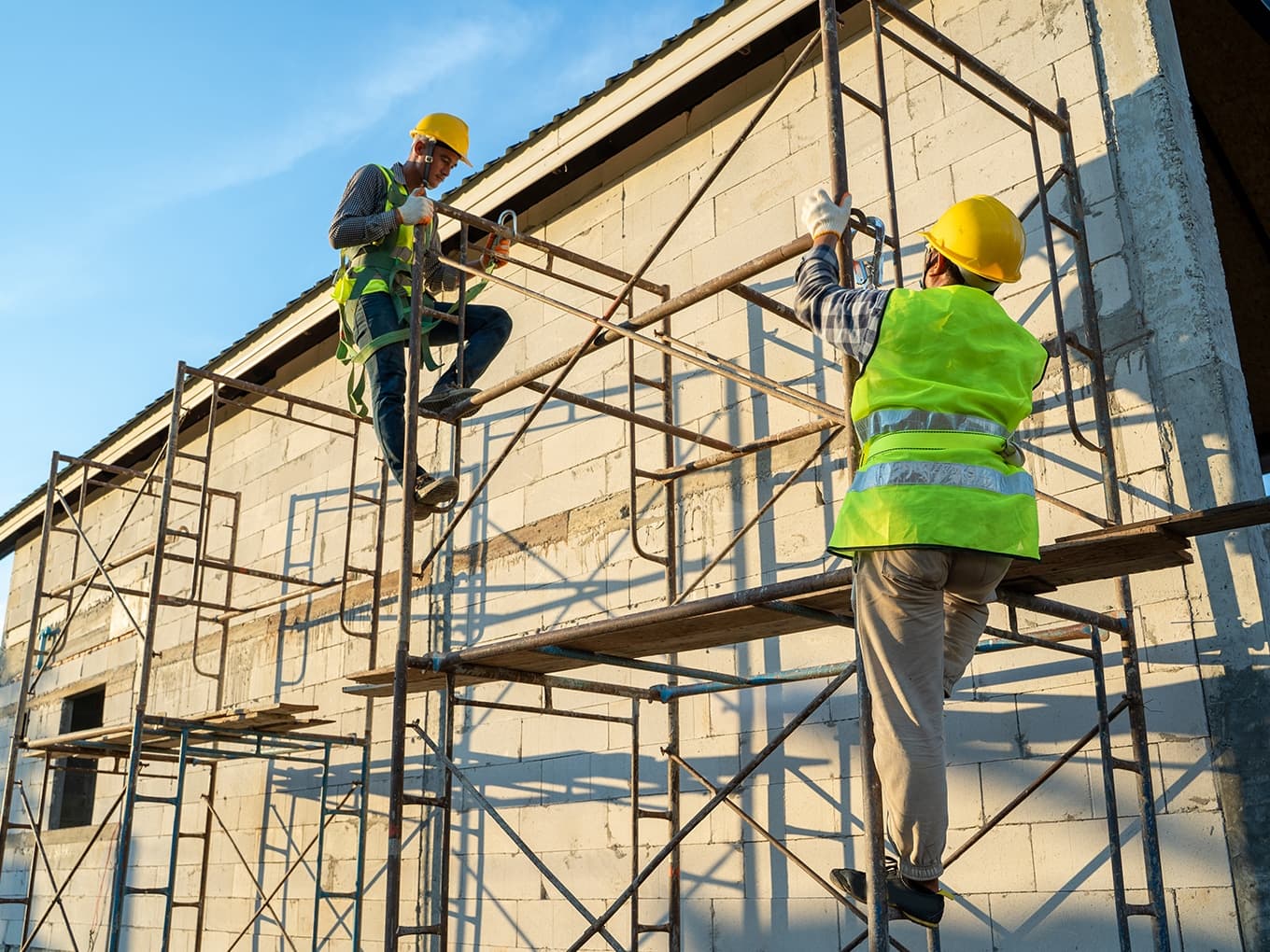 Duscaff production